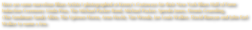 Here are some marvelous Blues Artists I photographed at Kenny’s Castaways for their New York Blues Hall of Fame Induction Ceremony: Linda Pino, The Michael Packer Band, Michael Packer, Speedo Jones, Dennis Gruenling, 
(The Sandman) Sandy Allen, The Uptown Horns, Arno Hecht, Tim Woods, Joe Louis Walker, David Runyan and John Earl Walker to name a few.