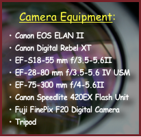 Camera Equipment:

Canon EOS ELAN II
Canon Digital Rebel XT
EF-S18-55 mm f/3.5-5.6II
EF-28-80 mm f/3.5-5.6 IV USM
EF-75-300 mm f/4-5.6II
Canon Speedlite 420EX Flash Unit
Fuji FinePix F20 Digital Camera
Tripod